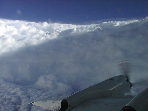 In the eye of hurricane, P3 plane