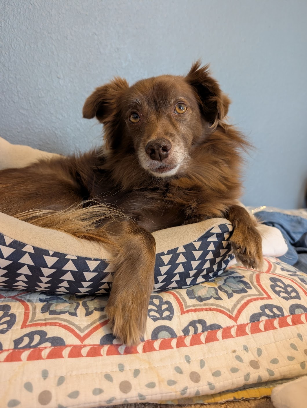 Oliver looking judgemental